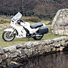 By a stream on Dartmoor